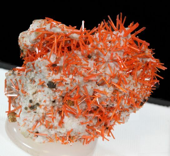 Bright Orange Crocoite Crystals - Tasmania #40603